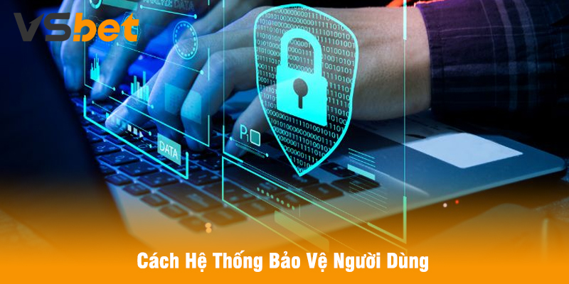 Cách Hệ Thống Bảo Vệ Người Dùng